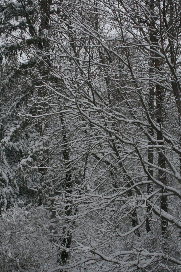 The Big Snow