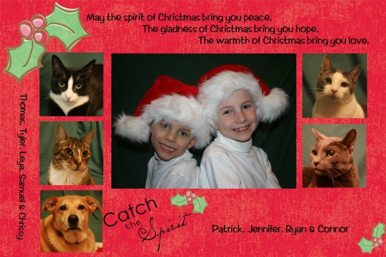 Holiday Traditions: Christmas Greetings