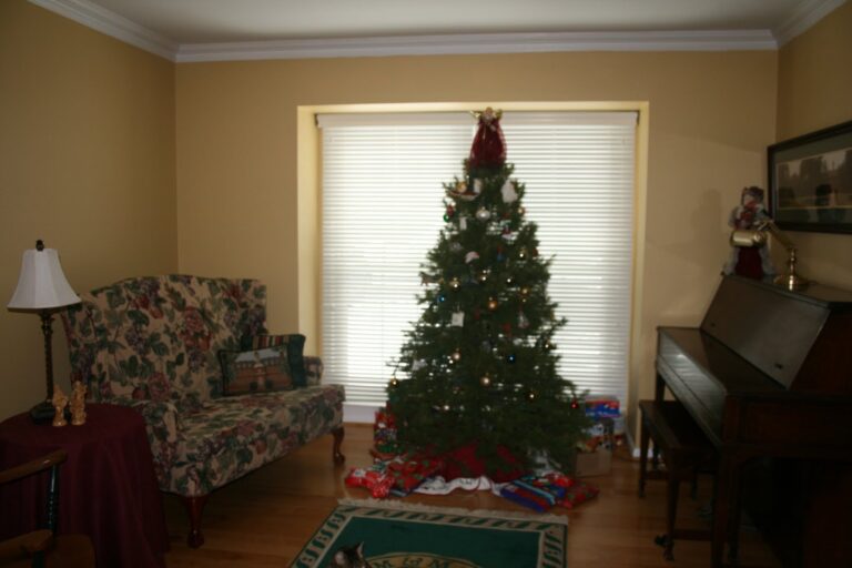 Gratituesday: A new Coat of Paint… a New Perspective